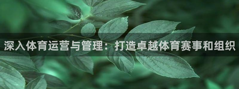 必一体育黑钱：深入体