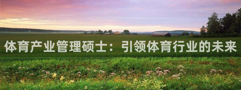 必一体育app平台下