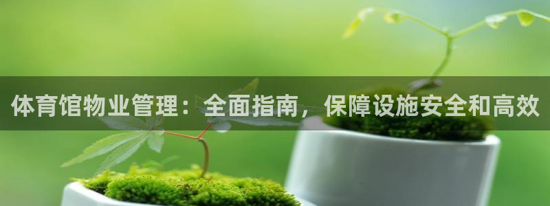 必一体育app官方正