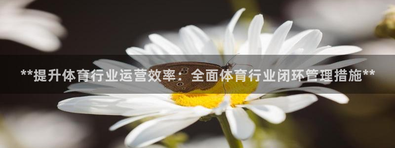必一体育是哪里的台子