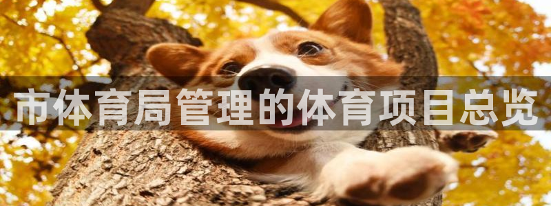 必一体育bsport
