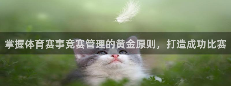 必一体育sport网