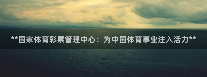 必一体育全站在线登录