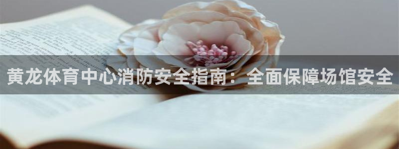 必一体育下载秀给网：