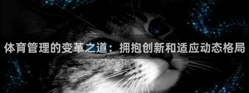必十二和必一的副作用
