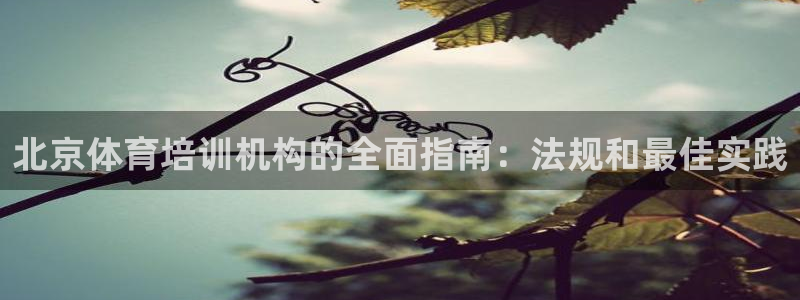 必一体育sport网