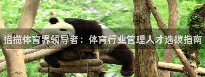 必一运动体育官网：招