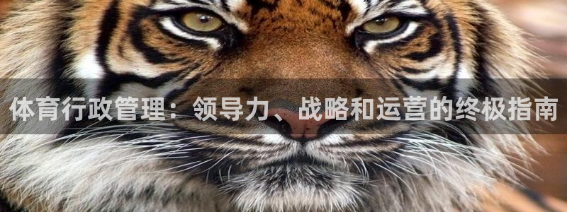 必一体育官方下载：体