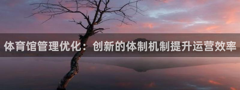 必一体育电子app：