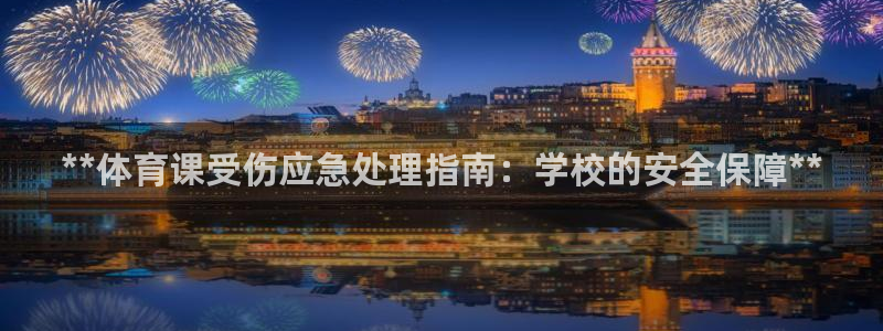 必一体育APP下载安