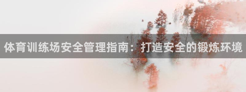 必一体育sport下
