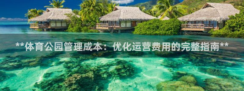 必一体育官网网址：*