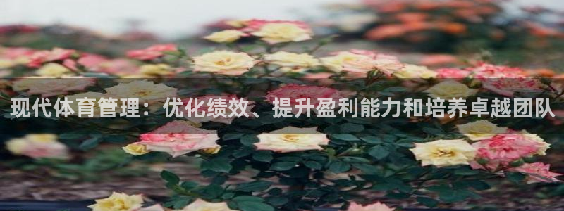 必一运动体育官网下载