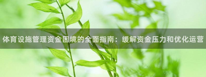 必一体育下载app：
