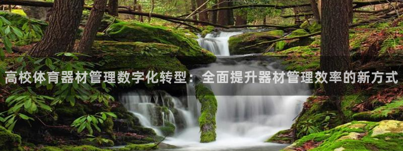 氵必一一厂一：高校体