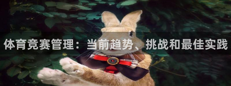 必一体育网页登录版官