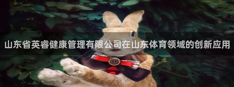 必一体育下载入口：山