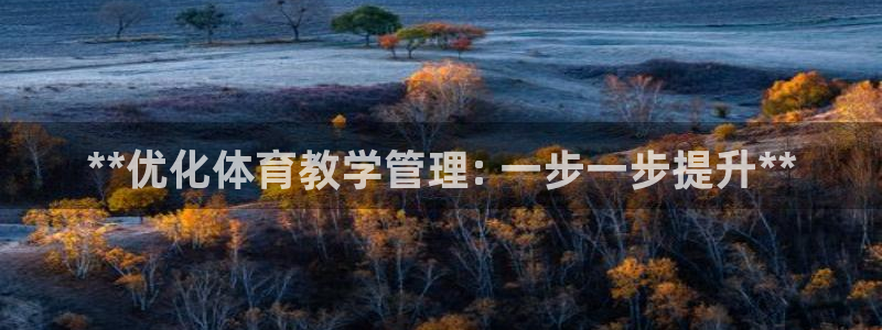 必一体育app下载：