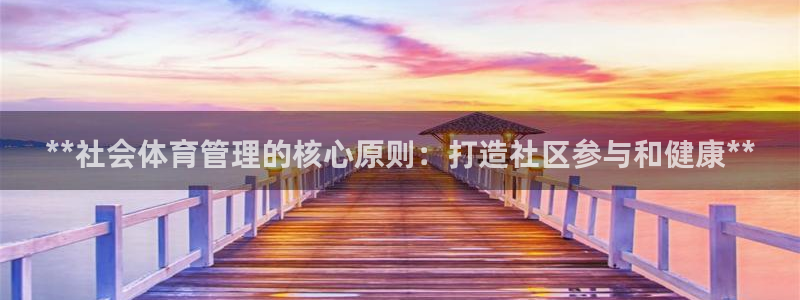必一运动体：**社会