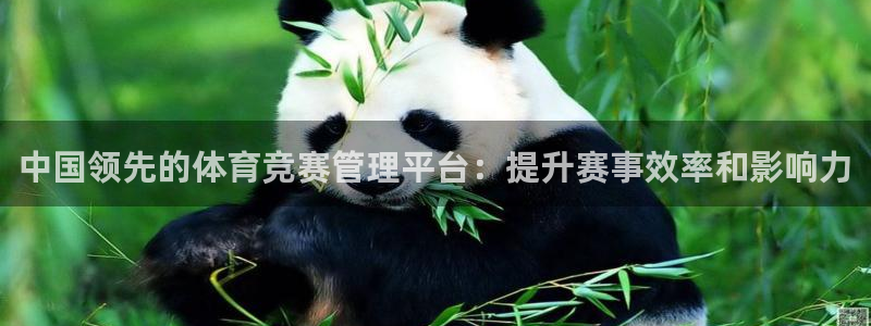 必一运动体育app：