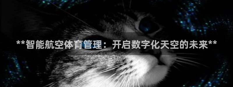 必一体育最新官网入口