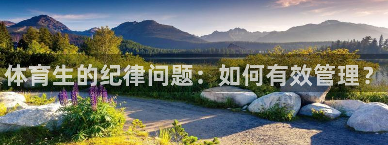 必一体育在线官网：体