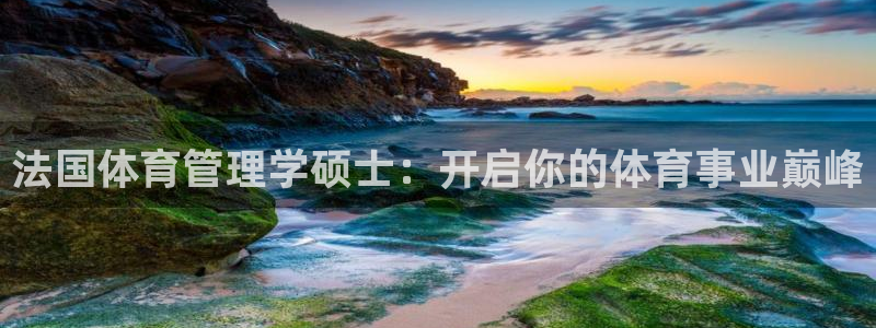 必一体育官方下载入口