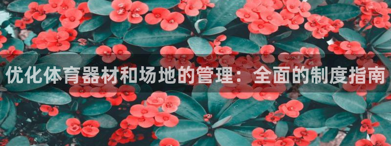 必一运动体育官网下载