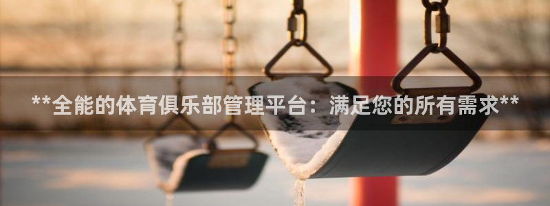 必一体育是啥：**全