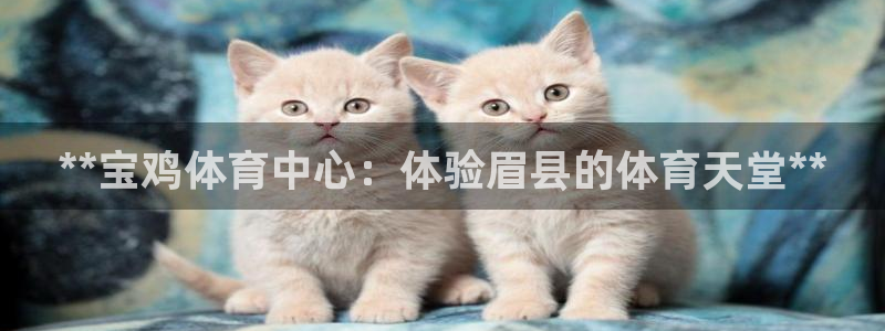 必一体育运动官网：*