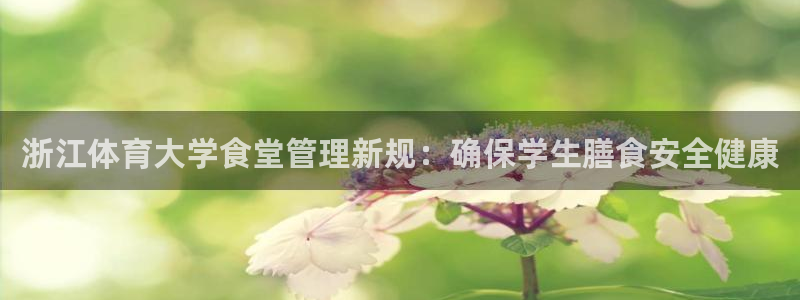 必一体育是哪里的台子