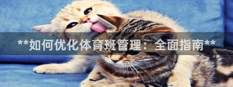 必一运动·(b-sp