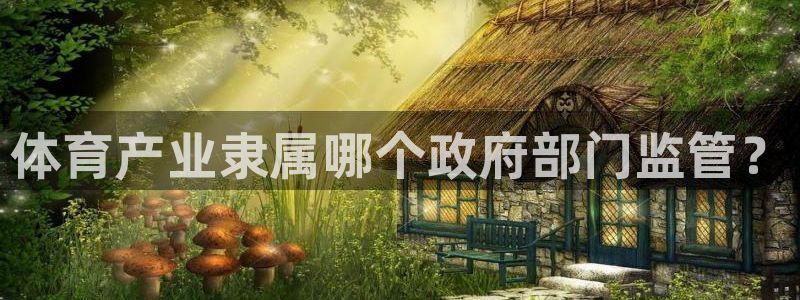 必一体育黑平台：体育