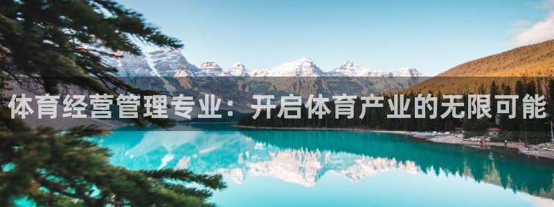 必一体育APP：体育