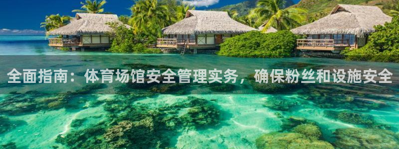 必一运动 b 体育素