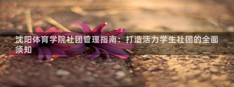 必一体育下载app下
