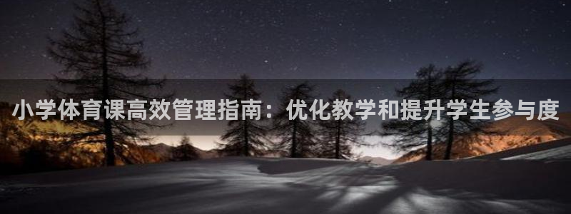 必一体育bsport