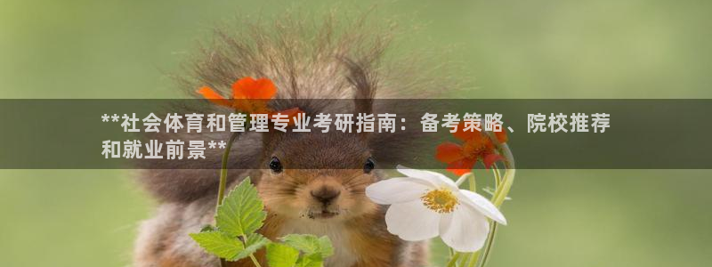 必一体育sport网