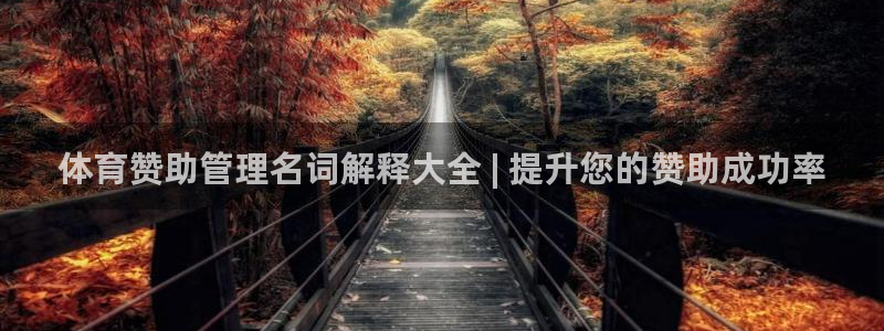 必一体育网站：体育赞