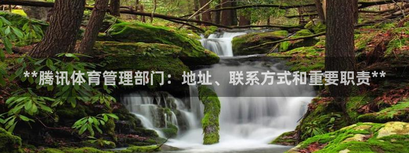 必一体育bsport