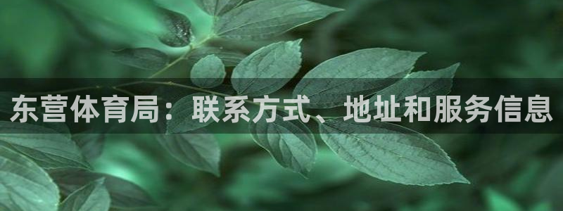必一体育sportB