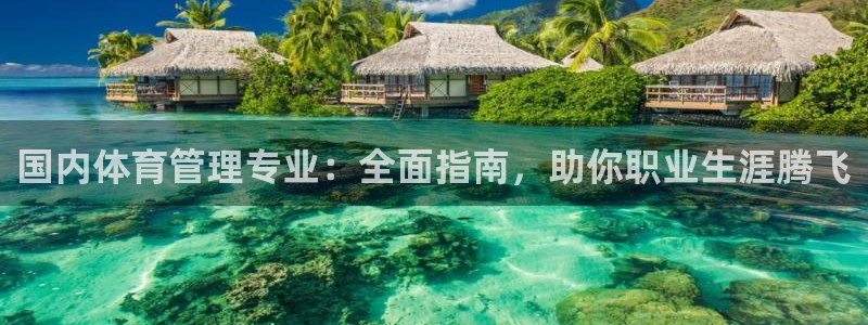 必一体育电子app：