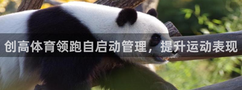必一体育下载意思：创