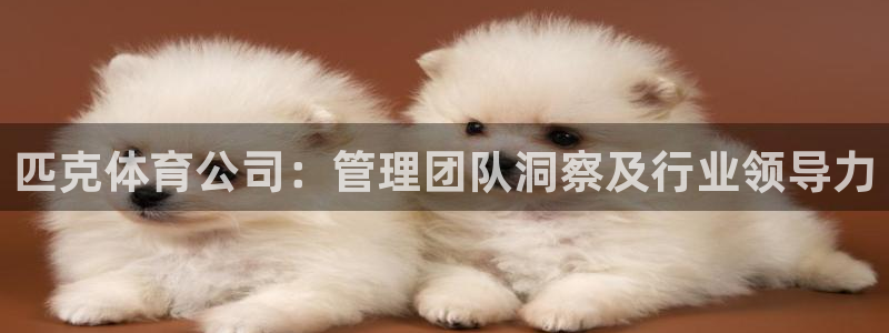 必一运动sport网