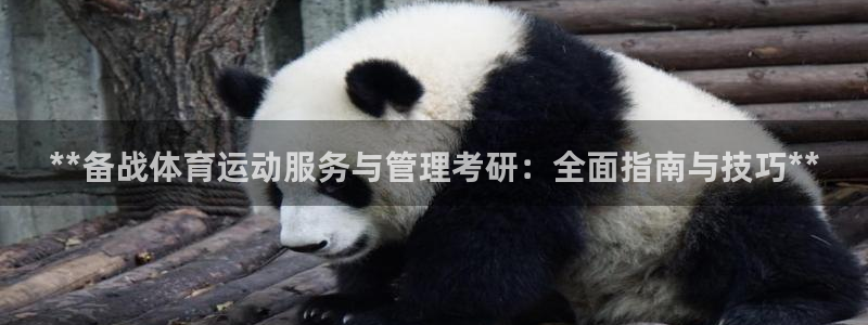 必一体育能提现大金额