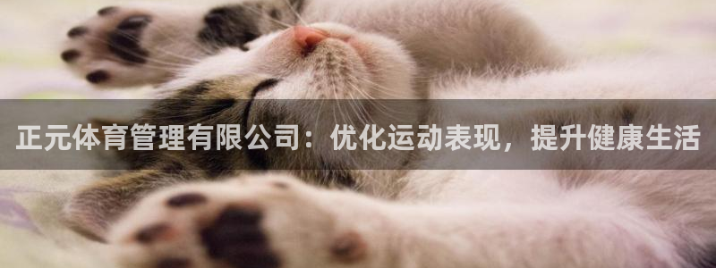必一体育sport装