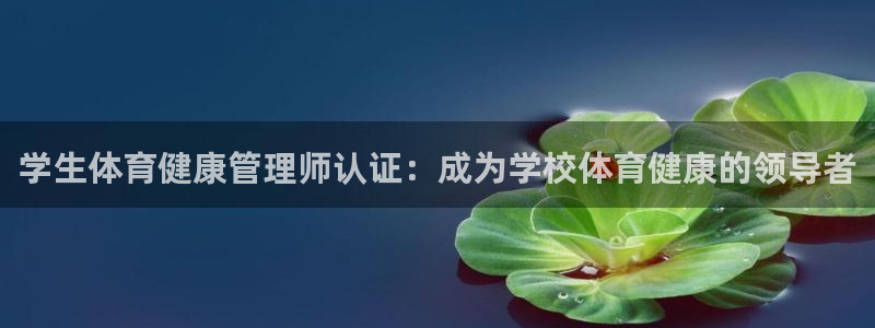 必一体育服下载最新版