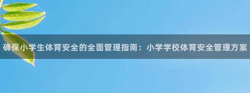 Bsport体育必一