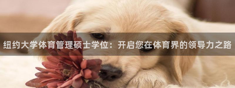 必一体育下载app：