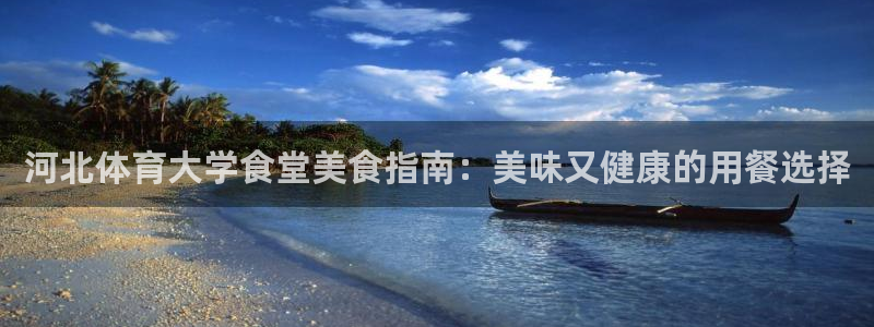 必一体育官网入口：河